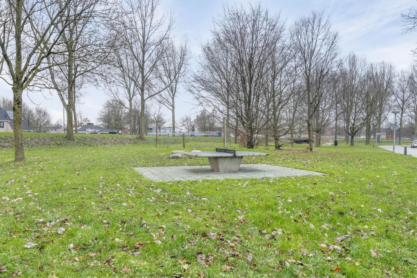 Foto 29 van Amaryllishof 18