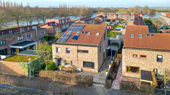 Foto 1 van Akkerdistel 5