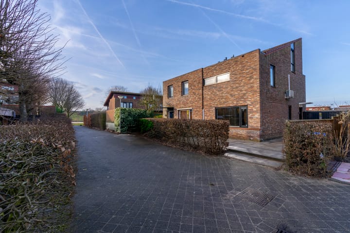 Foto 5 van Akkerdistel 5