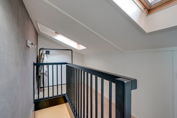 Foto 44 van Akkerdistel 5