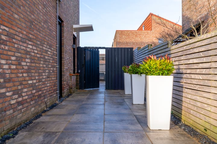 Foto 48 van Akkerdistel 5