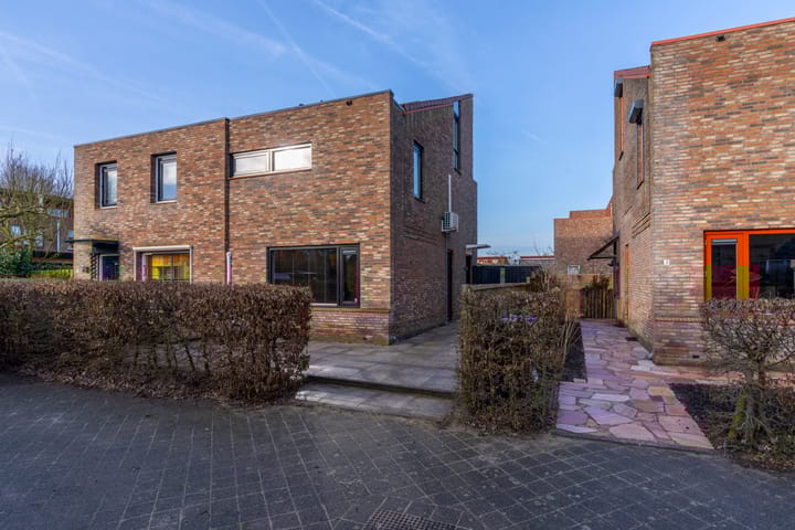 Foto 51 van Akkerdistel 5