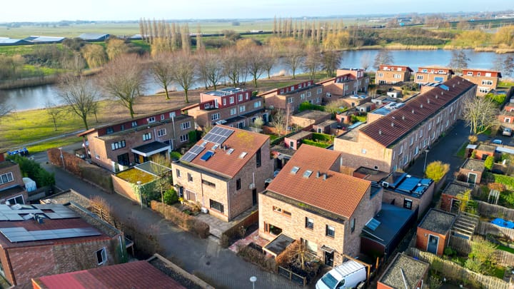 Foto 53 van Akkerdistel 5