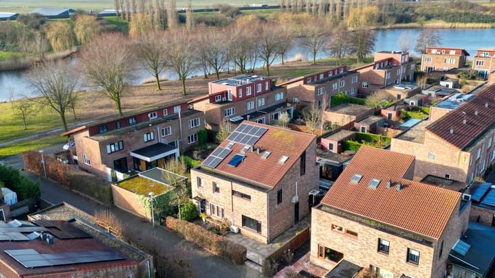 Foto 54 van Akkerdistel 5