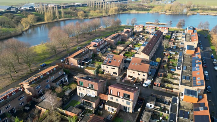 Foto 55 van Akkerdistel 5