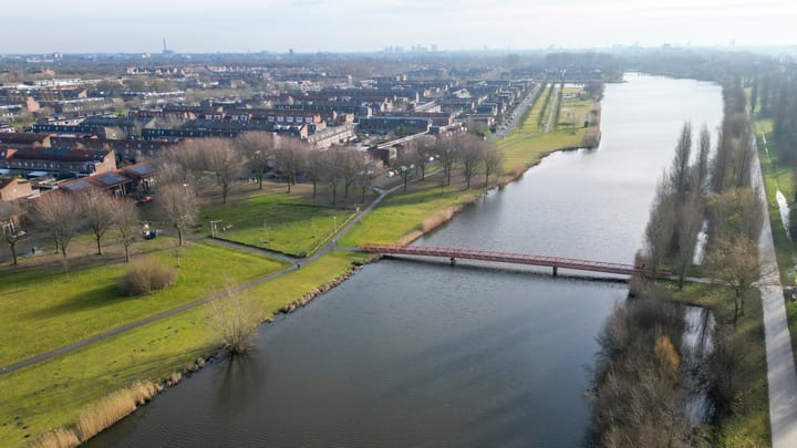 Foto 57 van Akkerdistel 5