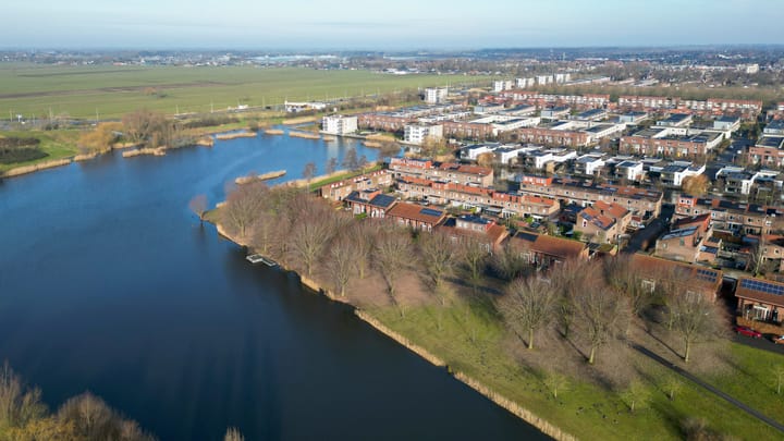 Foto 58 van Akkerdistel 5