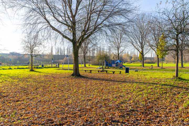 Foto 60 van Akkerdistel 5