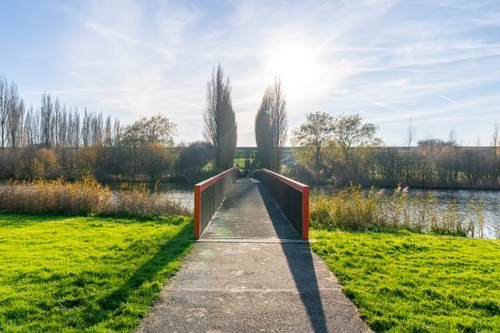 Foto 62 van Akkerdistel 5