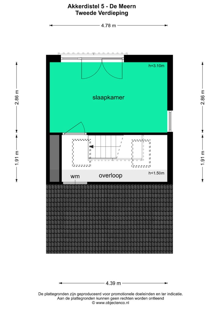 Foto 70 van Akkerdistel 5