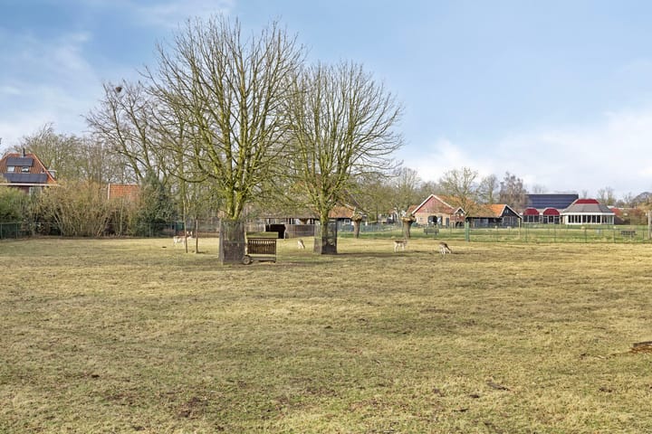 Foto 46 van Ludgerstraat 73