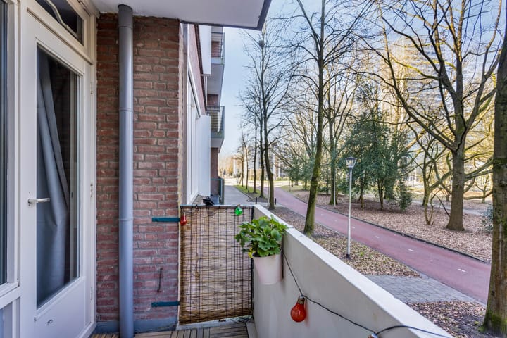 Foto 18 van Professor Cobbenhagenlaan 430