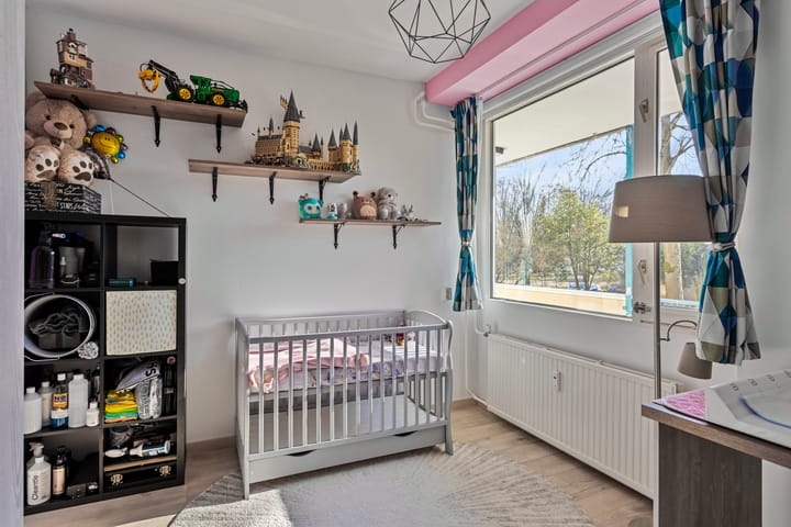 Foto 20 van Professor Cobbenhagenlaan 430