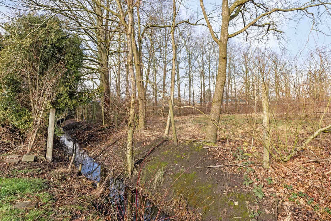 Foto 32 van Grintweg 77