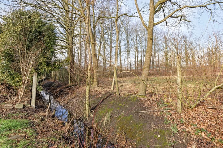 Foto 32 van Grintweg 77