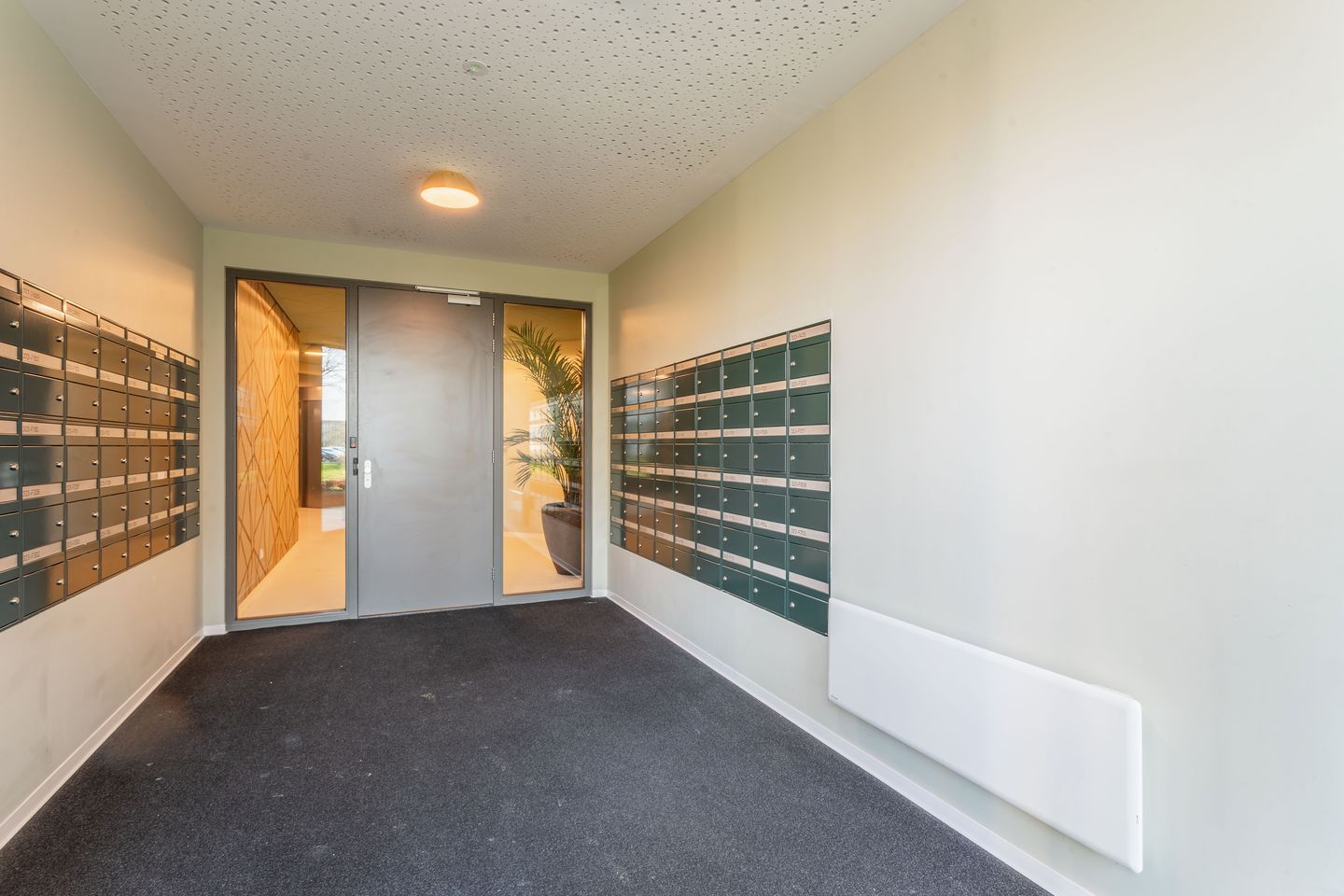 Foto 5 van Burgemeester Elsenlaan 323-F412