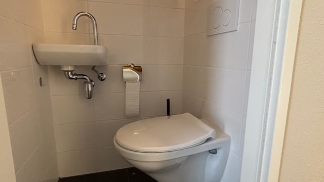 Foto 5 van Lijsterbeslaan 8