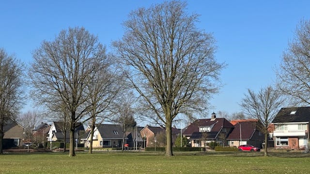 Foto 20 van Lijsterbeslaan 8