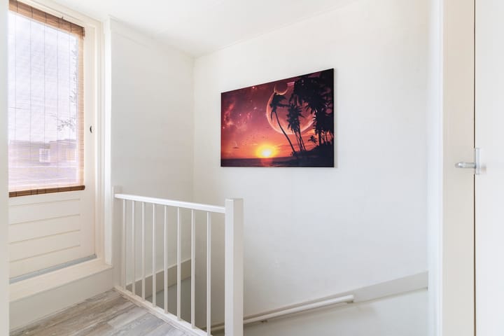 Foto 29 van Antilopeweide 13