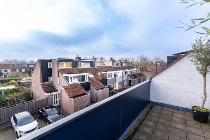 Foto 32 van Antilopeweide 13