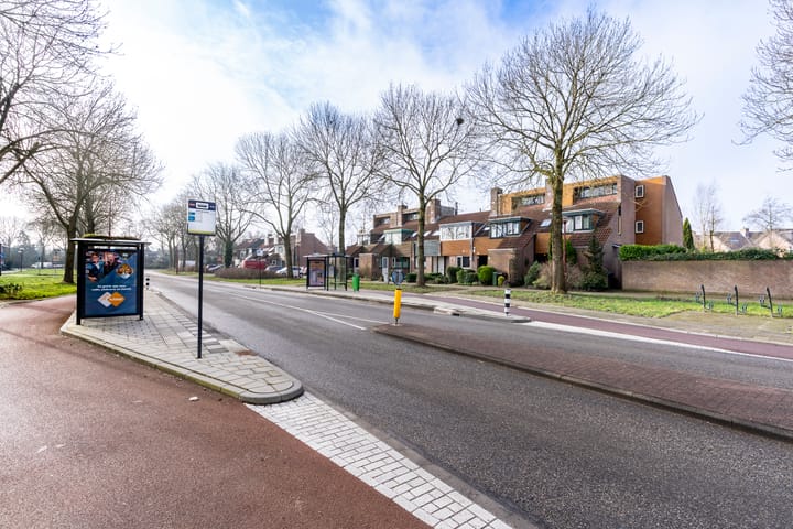 Foto 41 van Antilopeweide 13