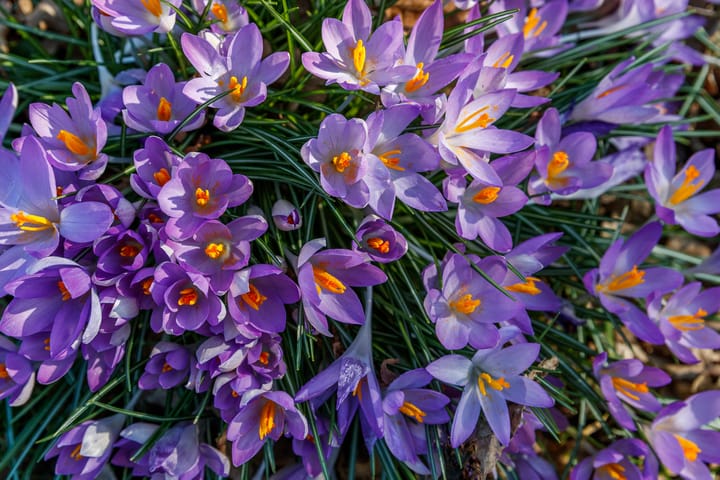 Foto 31 van Bogotadreef 3