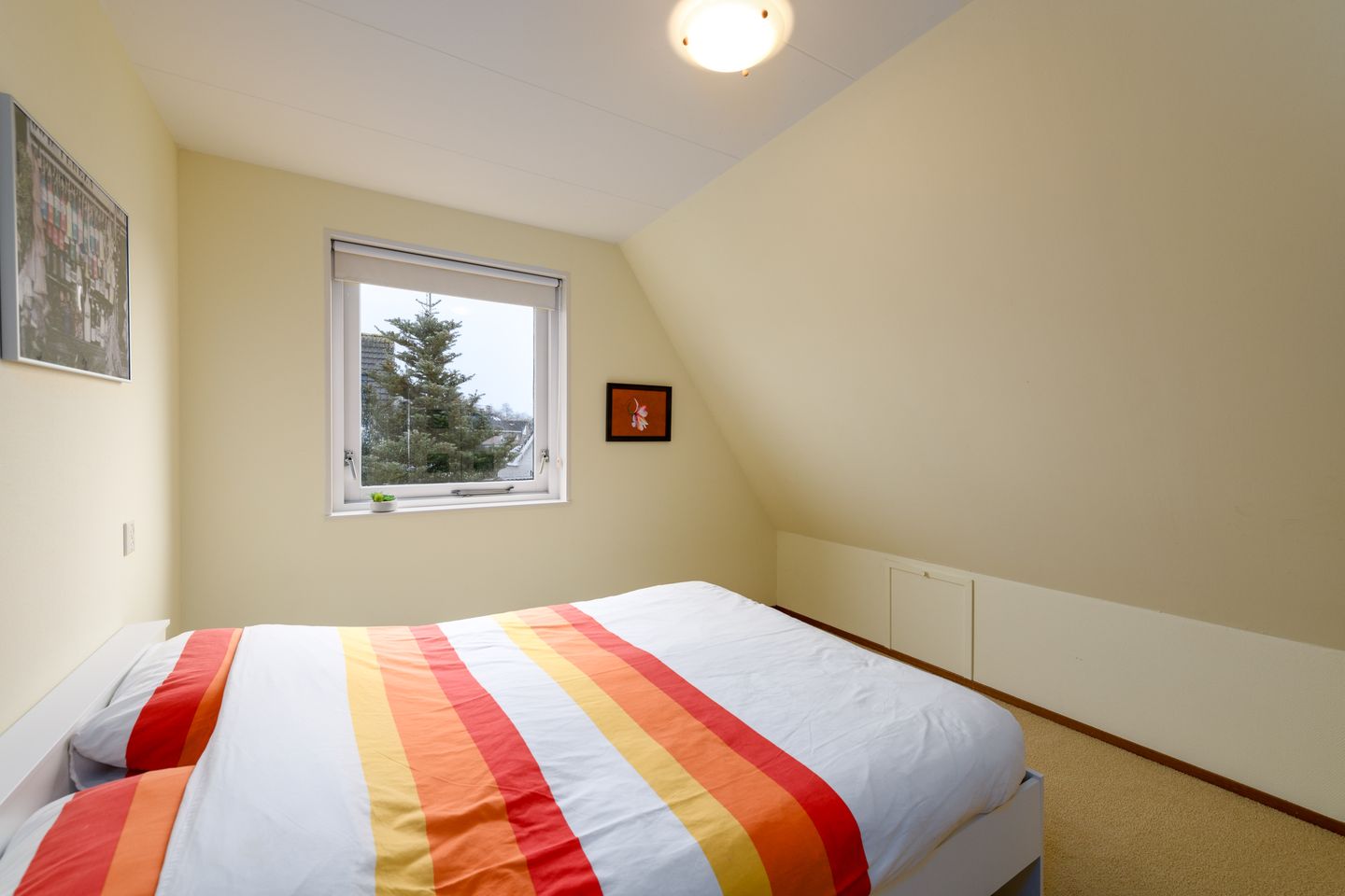 Foto 20 van Reling 52