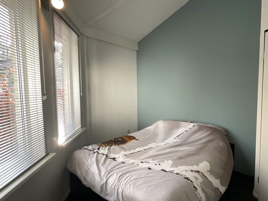 Foto 16 van Boslaan 2-28