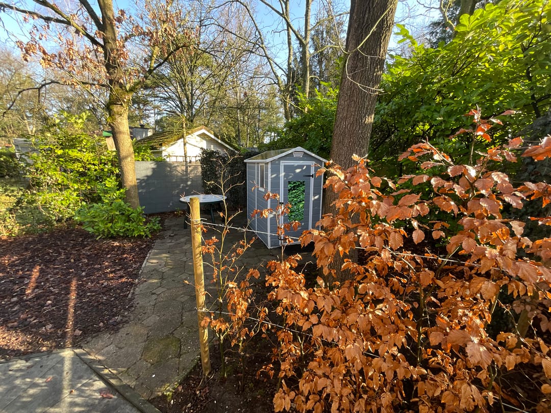 Foto 23 van Boslaan 2-28