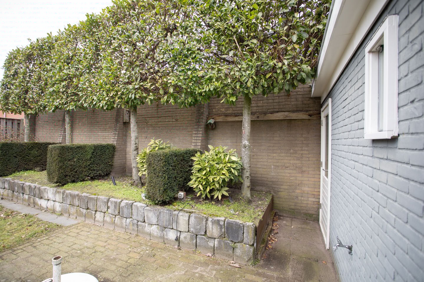 Foto 55 van Dahliastraat 15