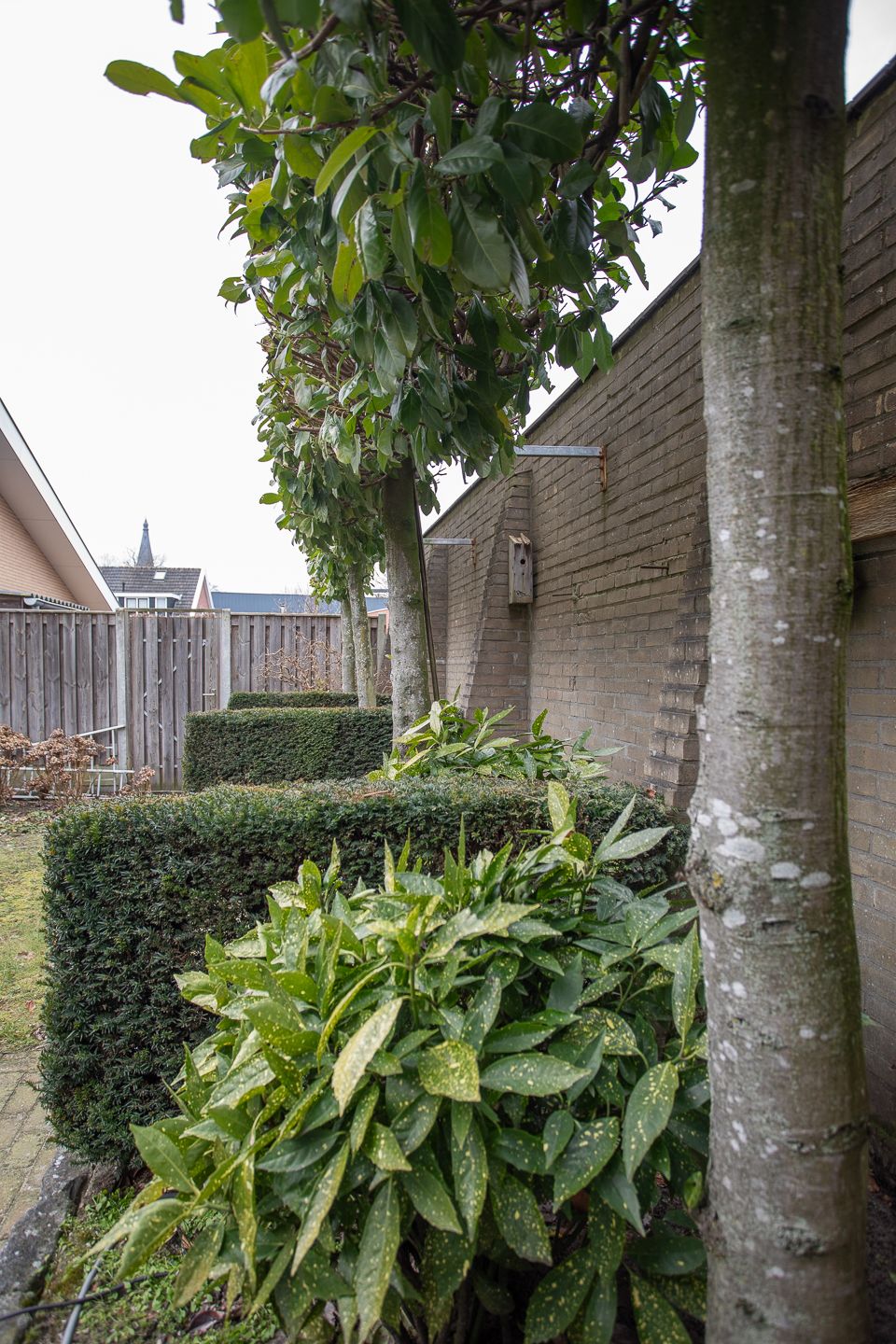 Foto 56 van Dahliastraat 15