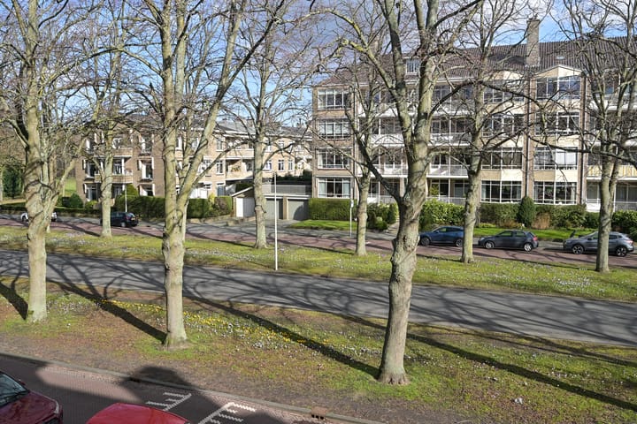 Foto 8 van Laan van Clingendael 130