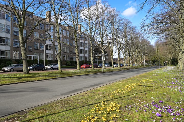 Foto 31 van Laan van Clingendael 130