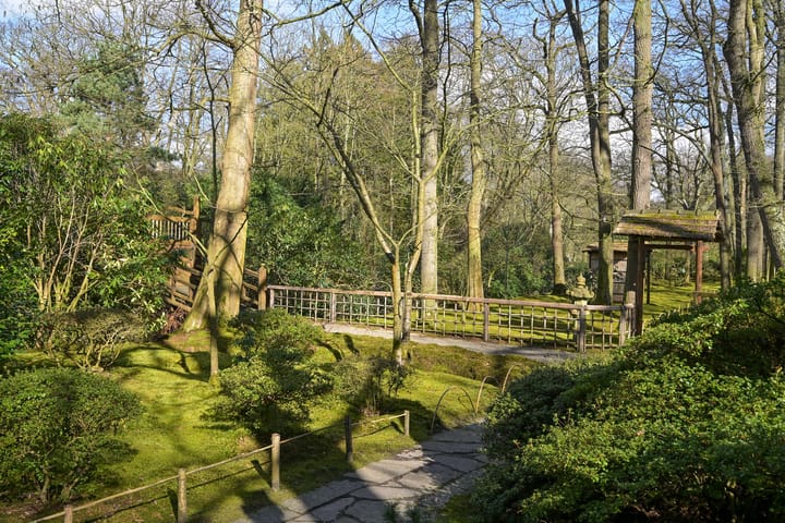 Foto 35 van Laan van Clingendael 130