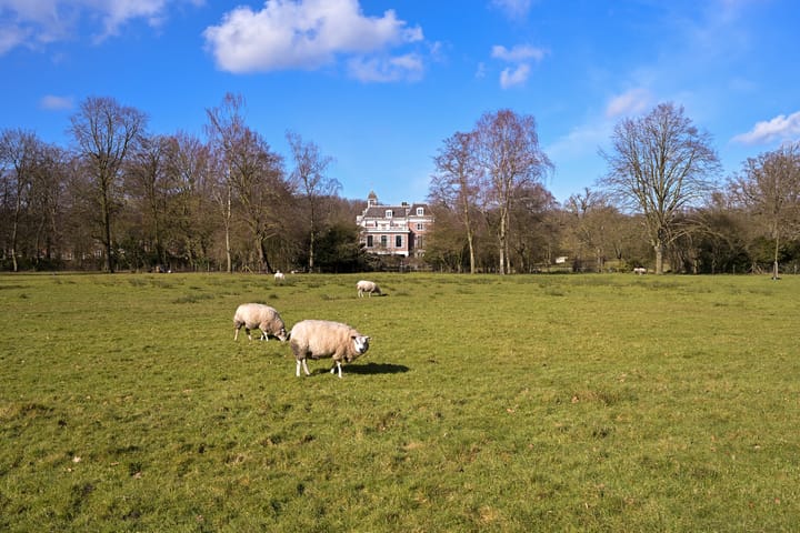 Foto 36 van Laan van Clingendael 130