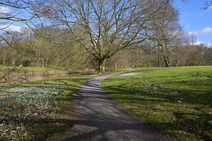 Foto 41 van Laan van Clingendael 130