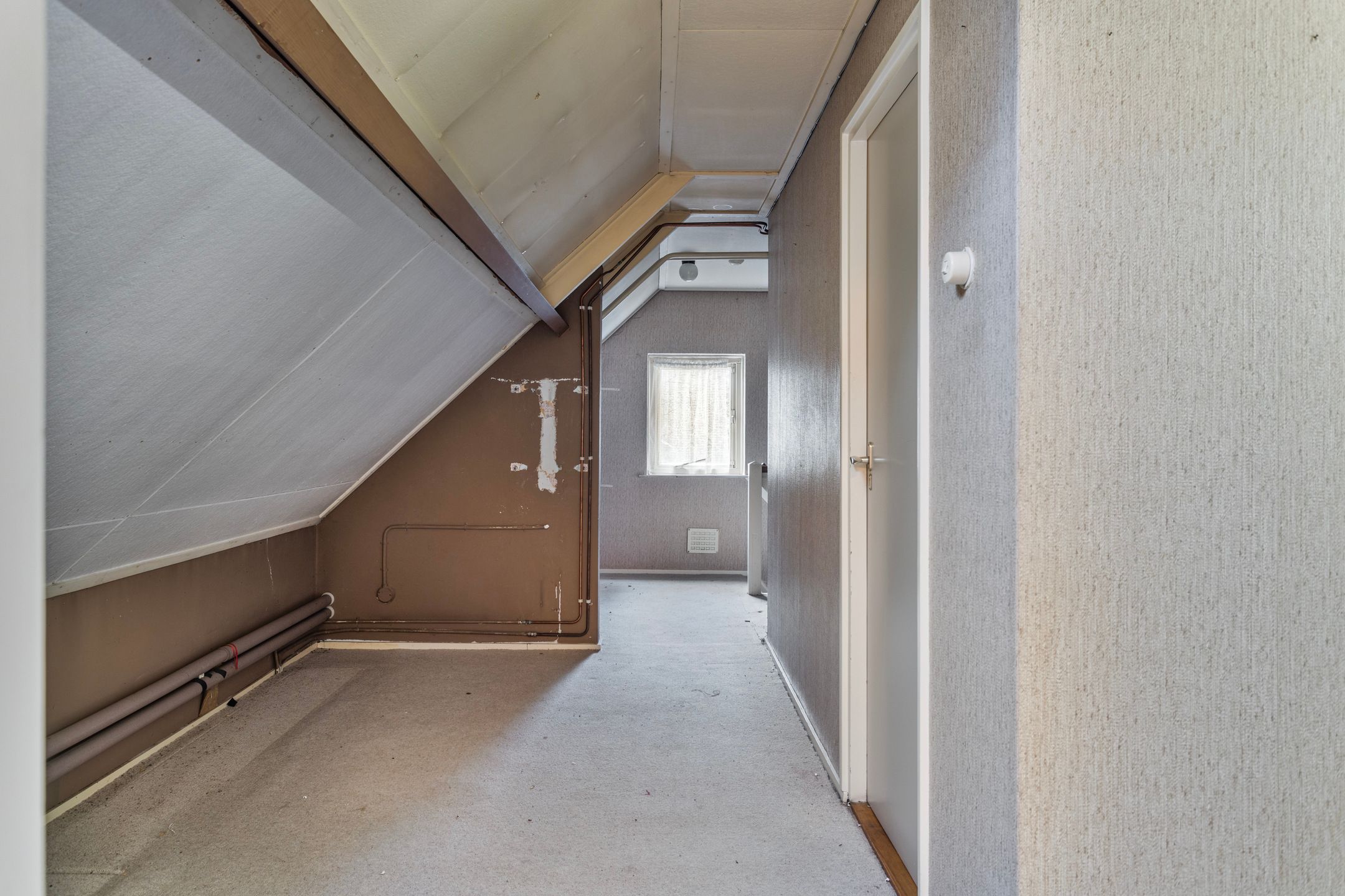 Foto 18 van Pater van den Elsenstraat 1