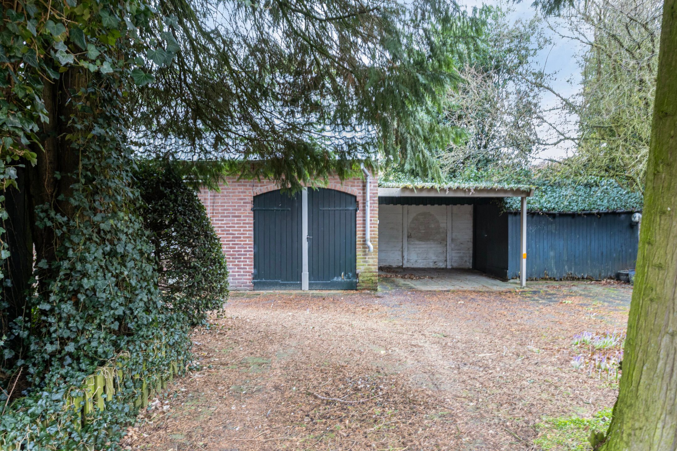 Foto 27 van Pater van den Elsenstraat 1