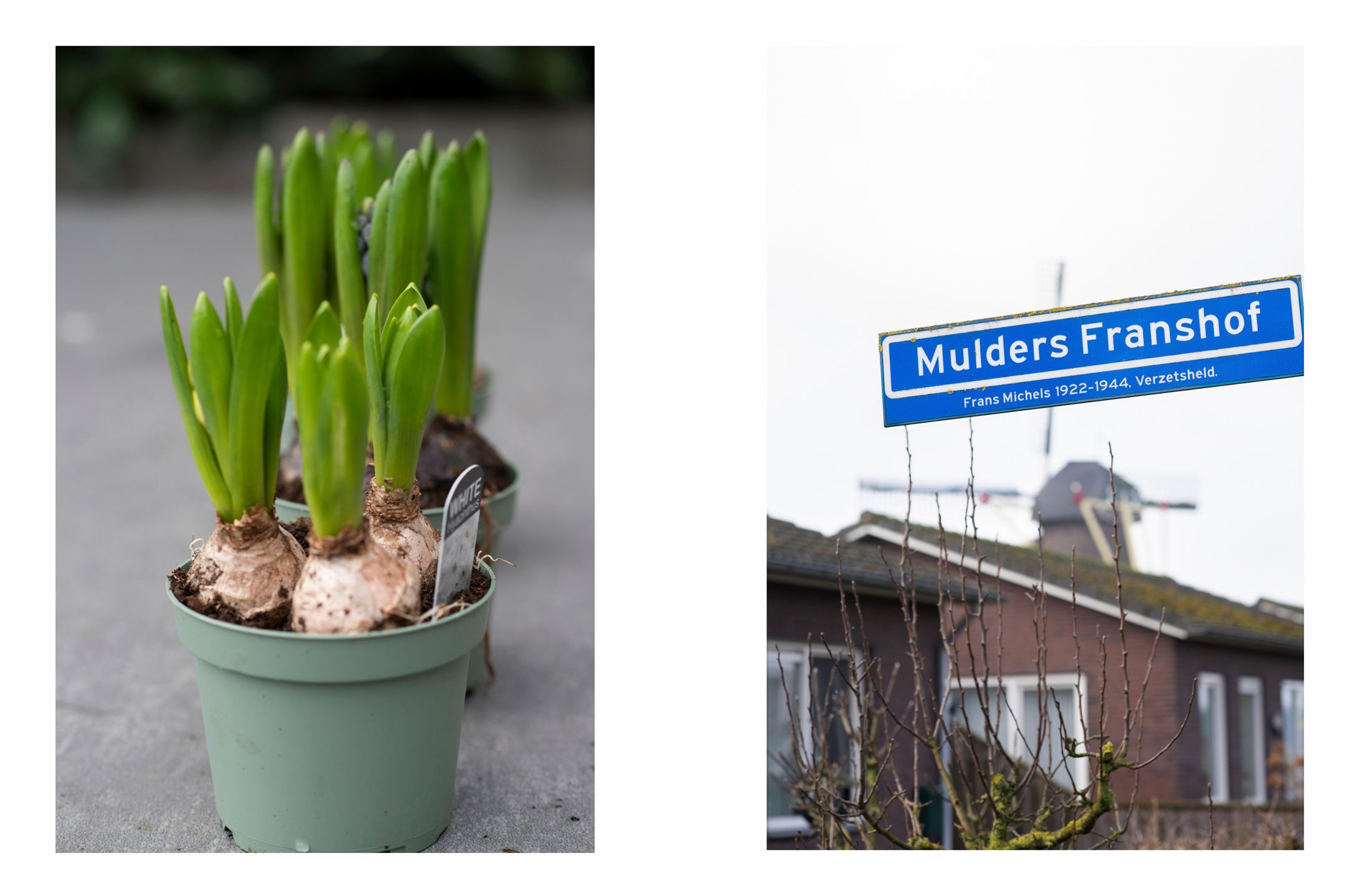 Foto 60 van Mulders Franshof 7