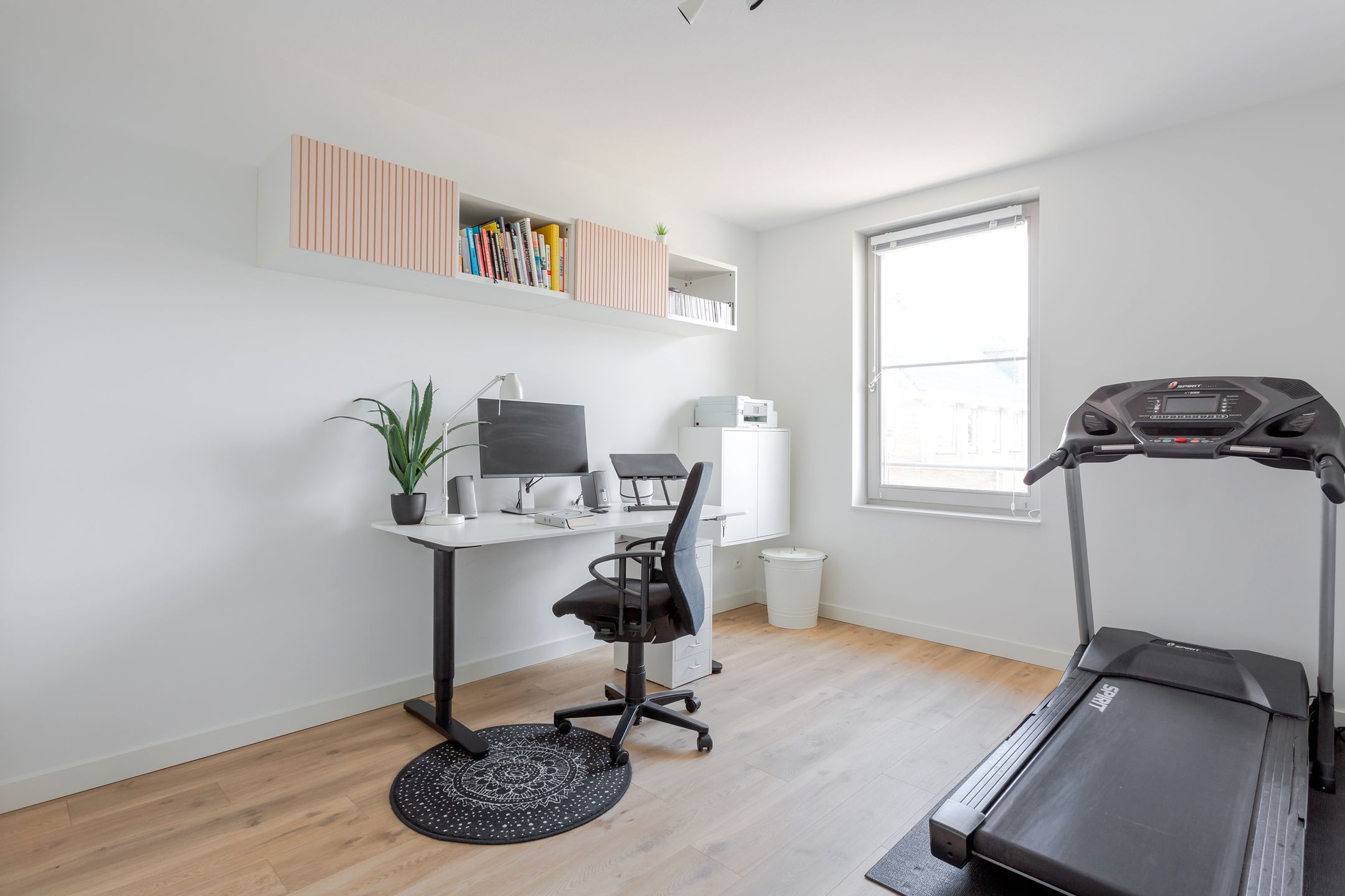 Photo 24 of dokter Sabelstraat 39