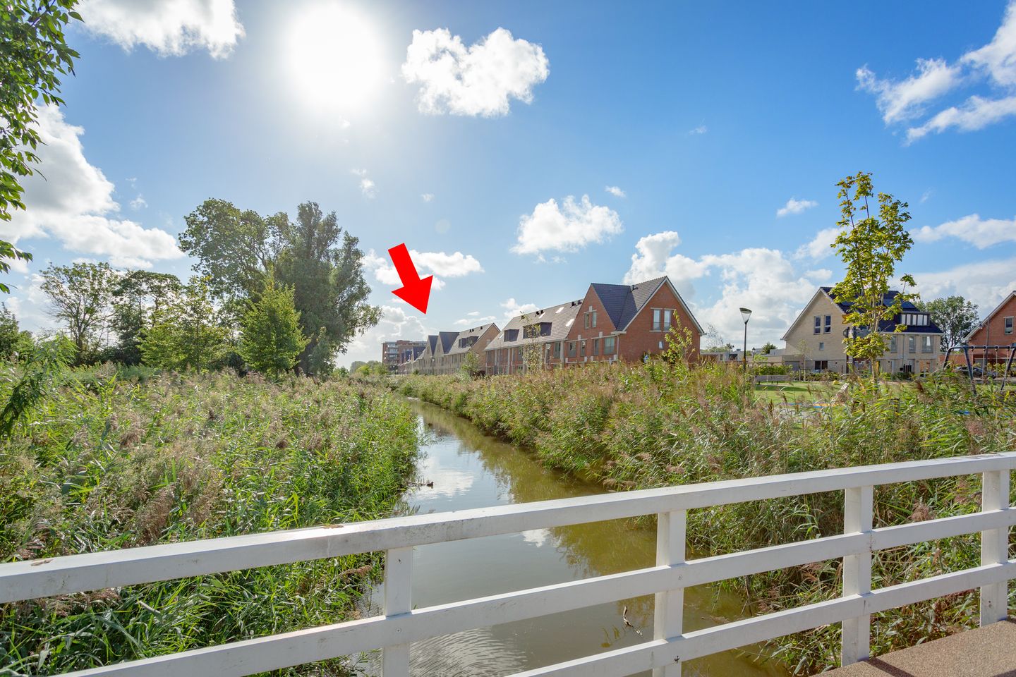 Photo 50 of dokter Sabelstraat 39