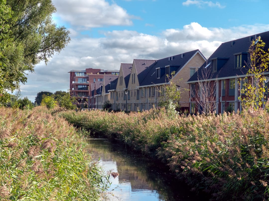 Photo 53 of dokter Sabelstraat 39