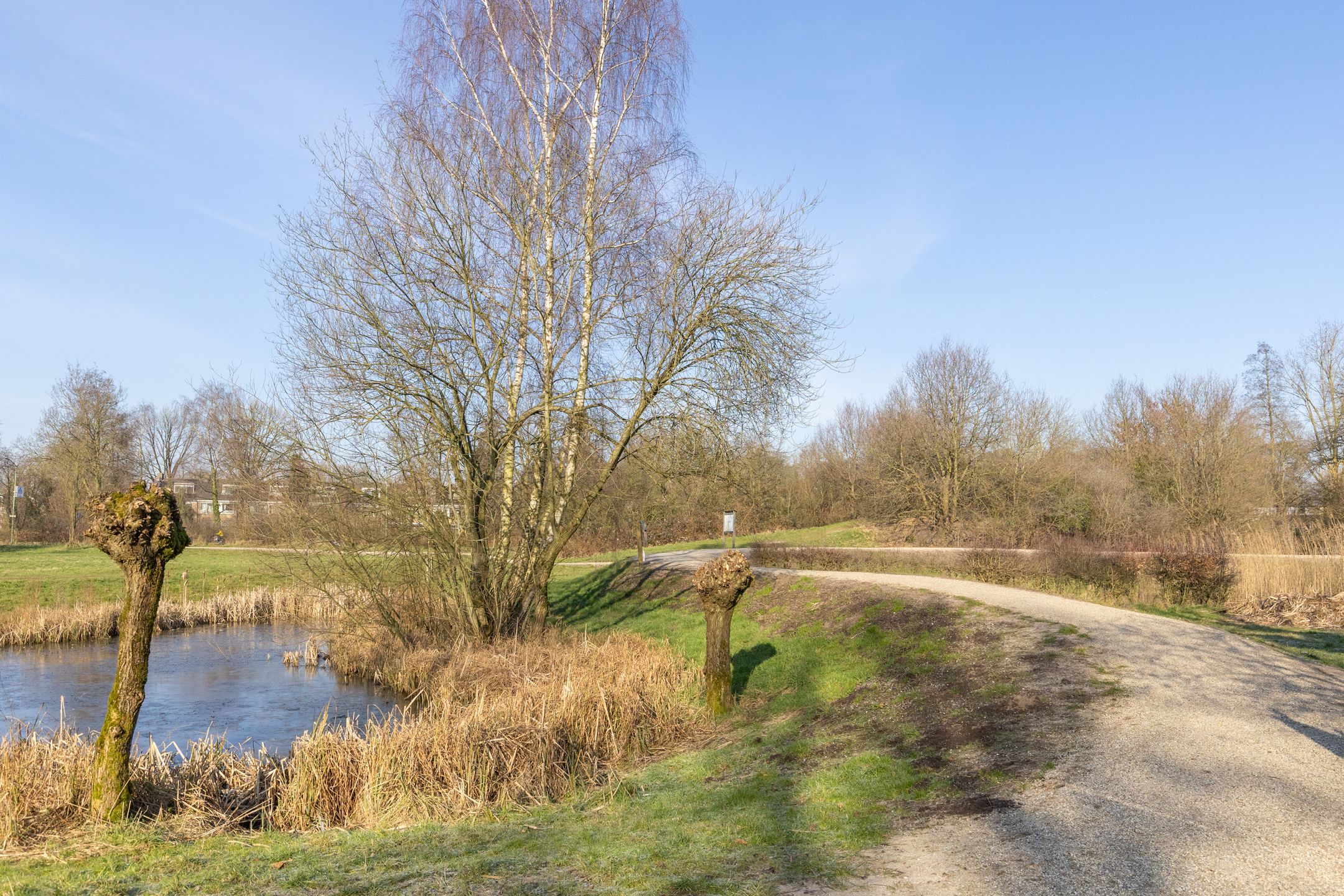 Foto 57 van Godfried van Seijstlaan 94