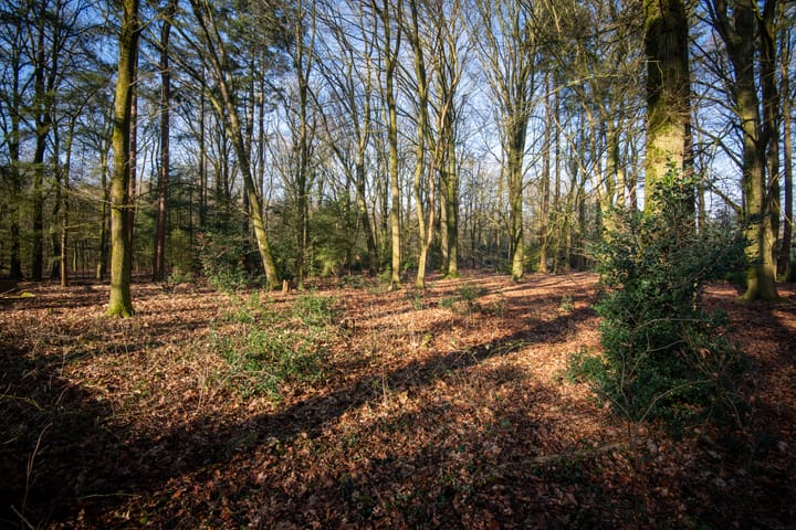 Foto 25 van Kerkendelweg 47-A