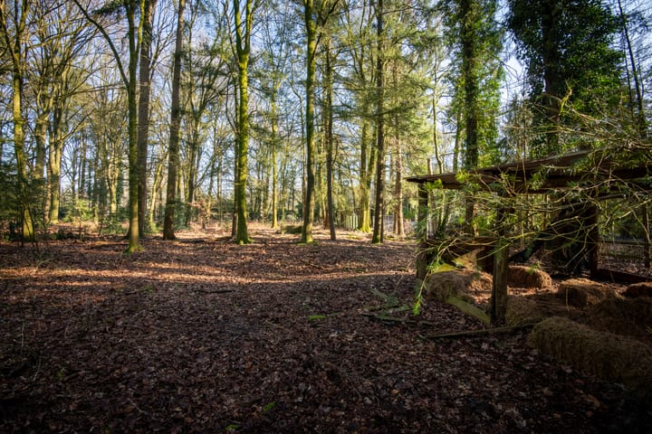 Foto 27 van Kerkendelweg 47-A