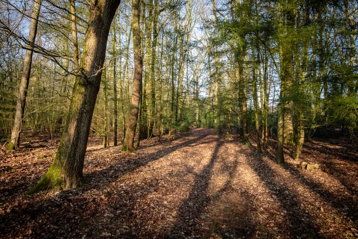 Foto 28 van Kerkendelweg 47-A