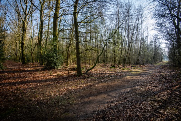 Foto 30 van Kerkendelweg 47-A