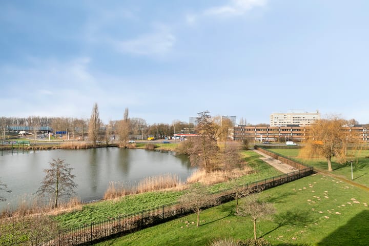 Photo 18 of Aalscholversingel 248