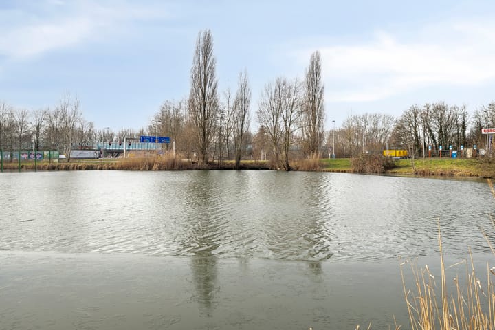 Photo 20 of Aalscholversingel 248