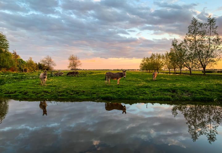 Foto 2 van Warder 121